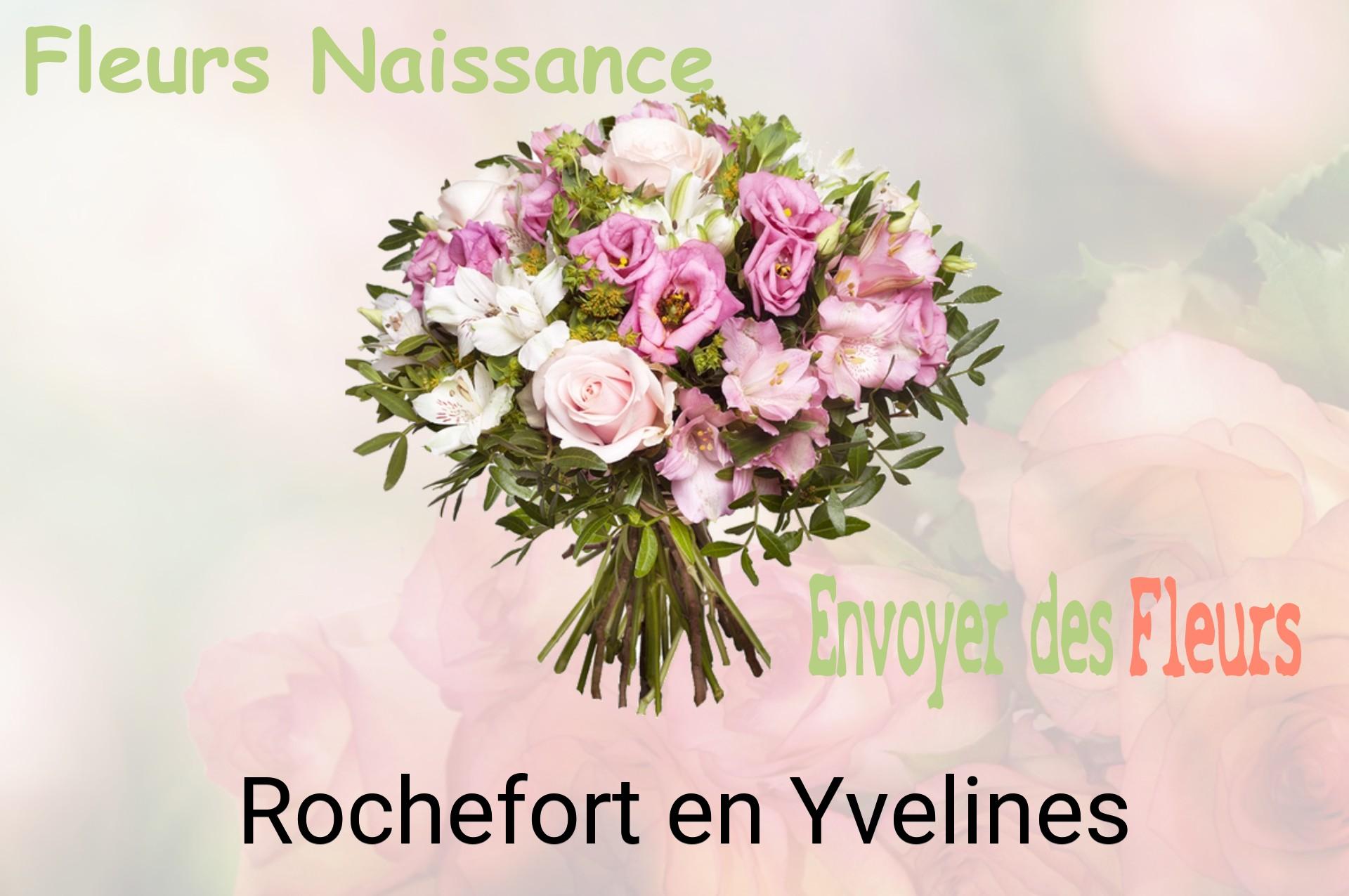 Bouquet de fleurs de naissance livré à Rochefort-en-Yvelines